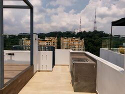 Natura@Hillview (D23), Apartment #517164821